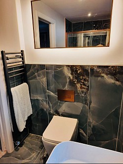 Towel radiator and toilet